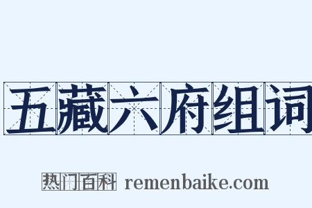 五藏六府组词是什么意思的图片